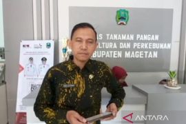 Serapan pupuk subsidi di Magetan hingga September capai 60 persen
