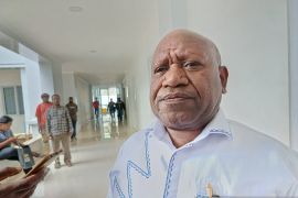 Pemkab Jayawijaya dorong pembentukan satgas pengawasan MBG