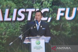 Indonesia must pave its own path to achieve sustainability: Minister