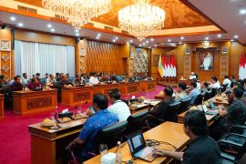 Gubernur Bali usul pusat reformasi OSS agar libatkan daerah