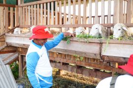 Indonesia’s community living lab boosts sustainable farming
