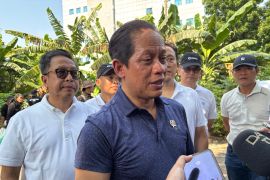 No Cs-137 radioactive exposure at clove production in Lampung: Govt