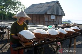 Pemprov lindungi 19 sentra tambak garam di Bali yang masih produktif