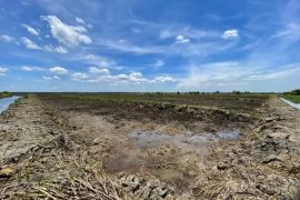 Kalsel kemarin dari ekspor Kalsel hingga stunting