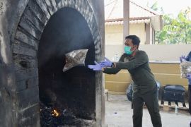 Karantina Kepri musnahkan komoditas ilegal pembawa hama