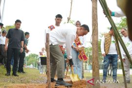 Sebanyak 300 pohon tabebuya ditanam di OKU Sumsel, jaga keseimbangan lingkungan