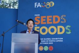Rayakan 80 tahun perangi kelaparan, FAO gelar pameran global di Roma