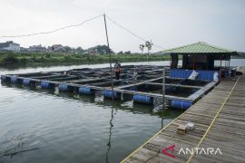 Pemanfaatan danau untuk budi daya ikan
