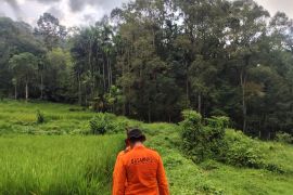 Basarnas temukan petani yang hilang di hutan Solsel
