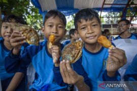 Kenali manfaat rutin makan ikan bagi kesehatan tubuh