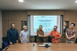 Pasar induk Tanah Tinggi Tangerang kini jual ikan laut