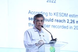 Green transition key momentum for workforce transformation: minister