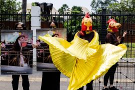 AFFA kritik hotel belum punya kebijakan telur ramah hewan