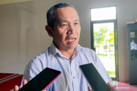 Kementan targetkan bongkar ratoon di Situbondo seluas 2.800 hektare