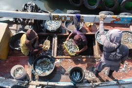 Stabilisasi harga ikan