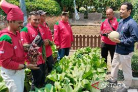 Puluhan petani inspiratif raih penghargaan Master Panen 2025 Ewindo