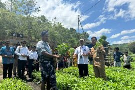 Program Electrifying Agriculture tumbuh 2,6 persen di Sumba
