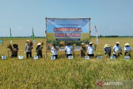 Taj Yasin: Jateng optimistis surplus pangan berkat dukungan teknologi dan irigasi