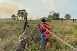 BPBD Tapin catat 17 bencana, karhutla masih mendominasi