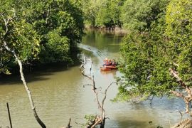 SAR masih cari pemancing  diterkam buaya di Balikpapan