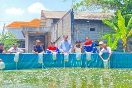 Patra Niaga berdayakan masyarakat lewat kolam budidaya ikan bioflok