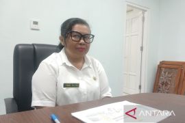 Mimika kelola dana Otsus dan DTI senilai Rp196 miliar