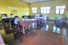 Banjir rob rendam sekolah di Kotim, buaya ancam keselamatan murid