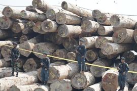 Indonesia shuts down massive illegal logging operation in Mentawai