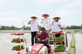 Langkat klaster padi binaan Bank Indonesia