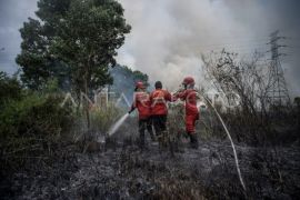 Damkar Bangka catat angka kasus kebakaran menurun