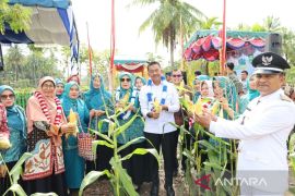 Desa Adianjior masuk nominasi evaluasi PKK Sumut 2025