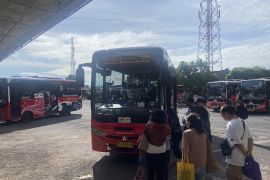 Operator tegaskan Bus TMD bukan pesaing sopir pariwisata di Bali