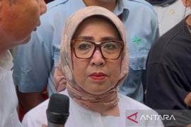 Pemkab Bogor lakukan antisipasi chikungunya lewat deteksi dini dan PSN