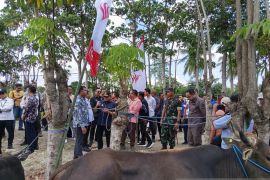 BSG pastikan penyaluran KUR program sapi Pemkab Gorontalo