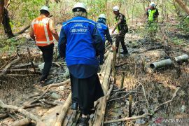TPS rehabilitasi 22,7 hektare hutan mangrove
