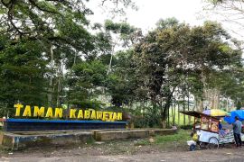 Menikmati sejuknya kebun teh Kabawetan, ikon wisata alam Kepahiang