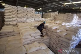 Mulai hari ini, pemerintah resmi turunkan harga pupuk bersubsidi 20 persen