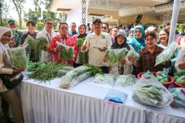 Pemkot dan BI Pematangsiantar kolaborasi di Hari Pangan Sedunia