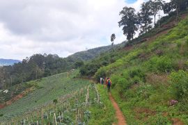 Drama penyelamatan di Lembah Tengkorak Lembang! ayah dan anak hilang akhirnya ditemukan selamat