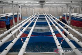 Pembangunan fisik Kopdes Merah Putih di Bandung Barat