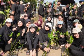 BEM Vokasi UI edukasi warga Muara Bungin jaga lingkungan pesisir