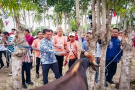 OJK dorong perluasan akses keuangan di Gorontalo