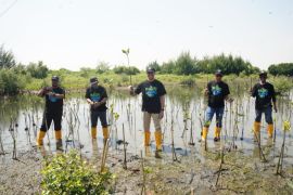Sambut Hari Listrik Nasional, PLN ikut rehabilitasi mangrove