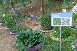 Pemprov Kaltim tingkatkan kualitas hidup masyarakat melalui lomba RT