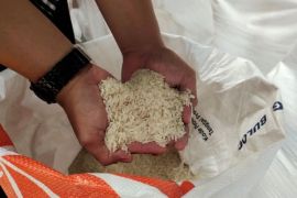 52 ribu KPM di Bandarlampung bakal terima bantuan beras