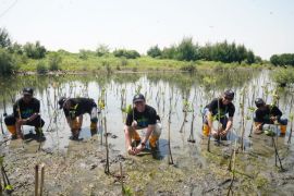 HLN, PLN rehabilitasi mangrove dalam Program Mageri Segoro