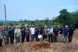 Pemerintah ajak masyarakat menanam tanaman produktif dukung ketahanan pangan