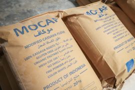 Kementerian UMKM siapkan percepatan hilirisasi mocaf