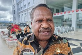 Pemprov Papeg minta 267 Kopdes Merah Putih tingkatkan kesejahteran OAP