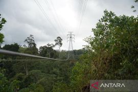 Tiga pakar nilai pemerintah dapat pertimbangkan bangun PLTN